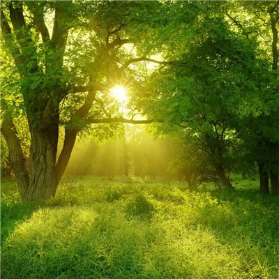 云开·全站APPkaiyun官网